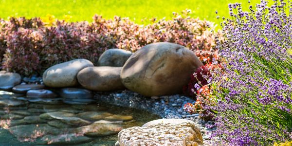 Landscape Design Bg